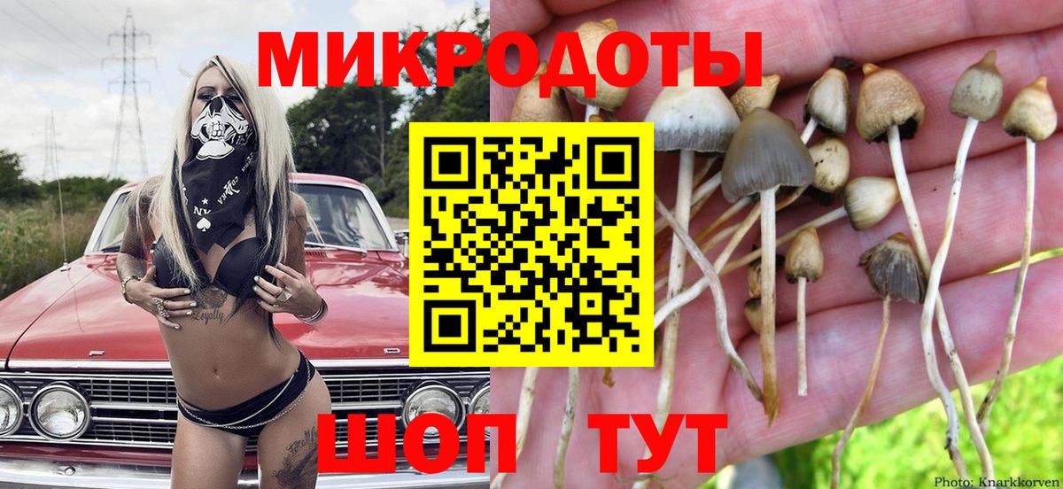 Галлюциногенные грибы ЛСД Кунгур
